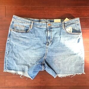 Women's Blue Denim Shorts